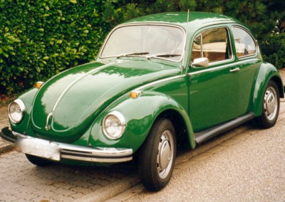 VW- Beetle